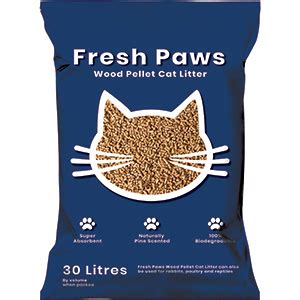 Experience the Magic of Citrus in Cat Litter for Fresh and Clean Paws